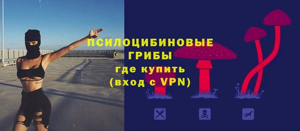 ПСИЛОЦИБИНОВЫЕ ГРИБЫ Армянск