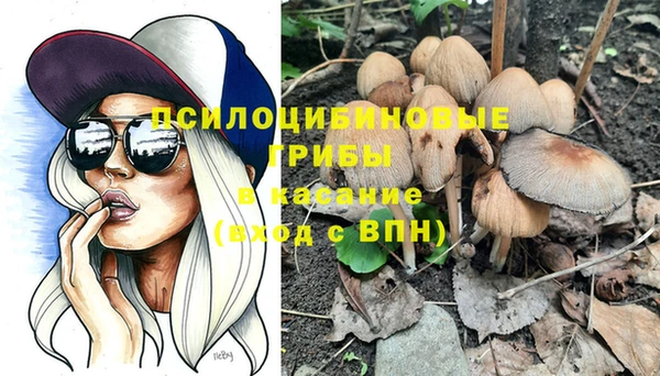 ГАЛЛЮЦИНОГЕННЫЕ ГРИБЫ Балахна