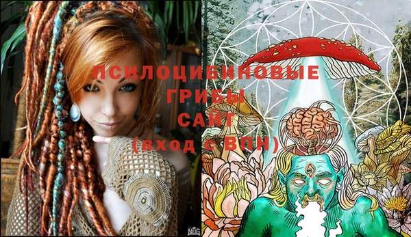 стафф Аркадак