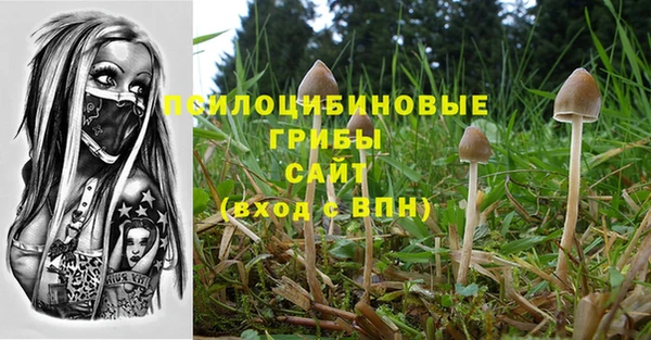 стафф Аркадак