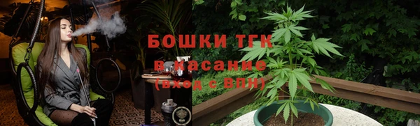 стафф Аркадак