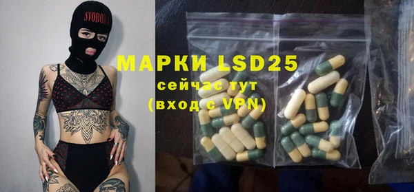 стафф Аркадак